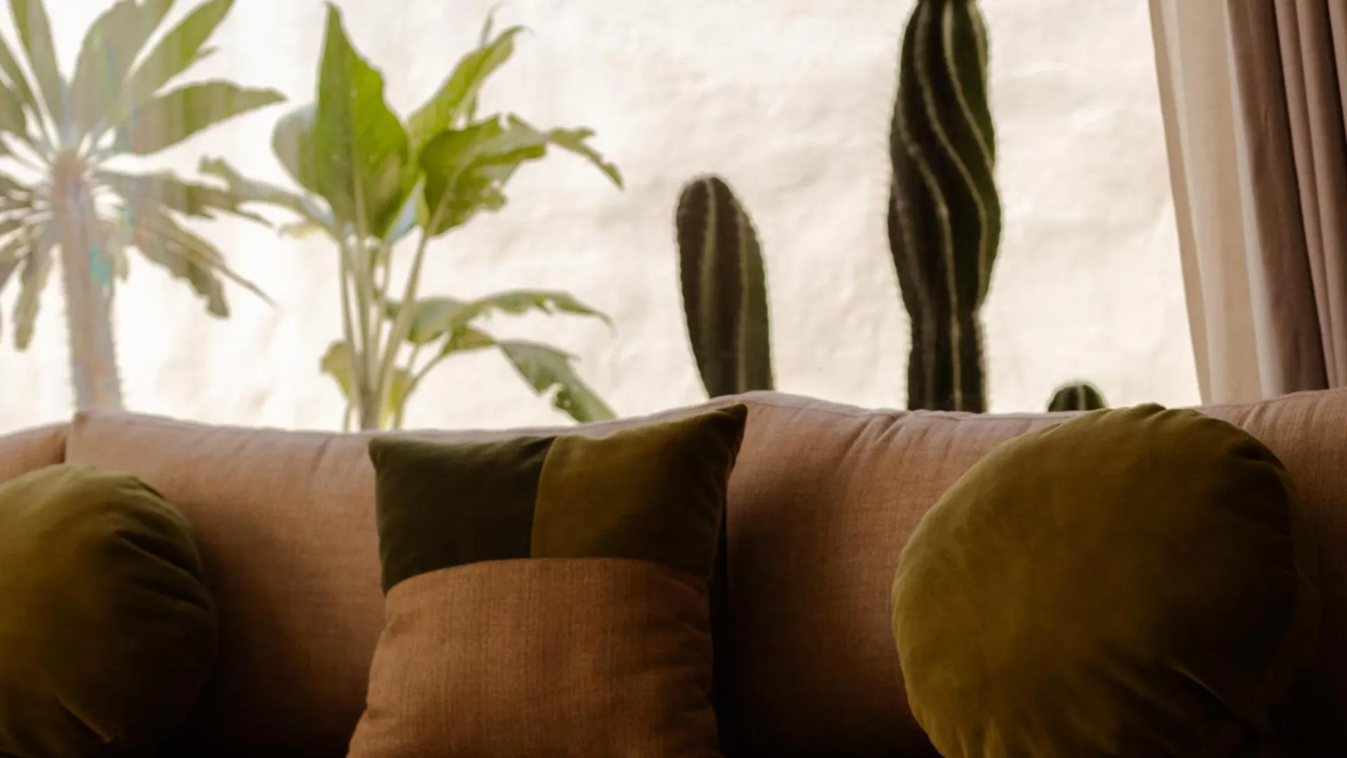 Casa Cactus Luxury Villa Bacalar